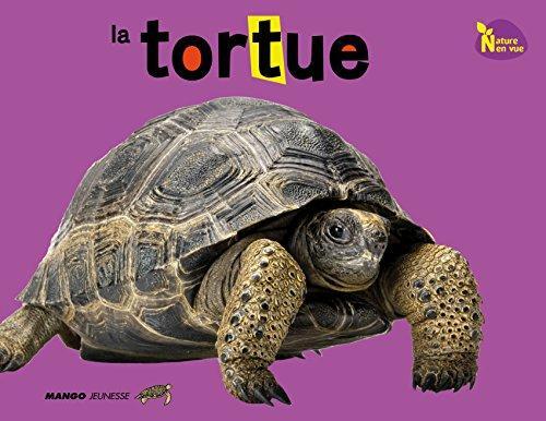 la tortue  
