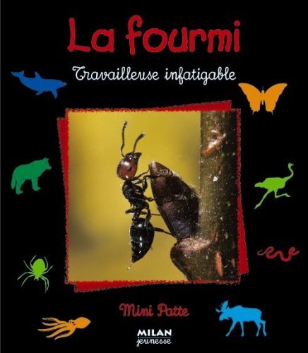 la fourmi travailleuse infatigable  