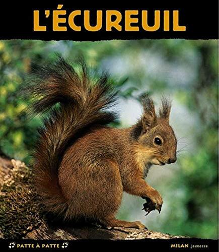 l' écureuil  