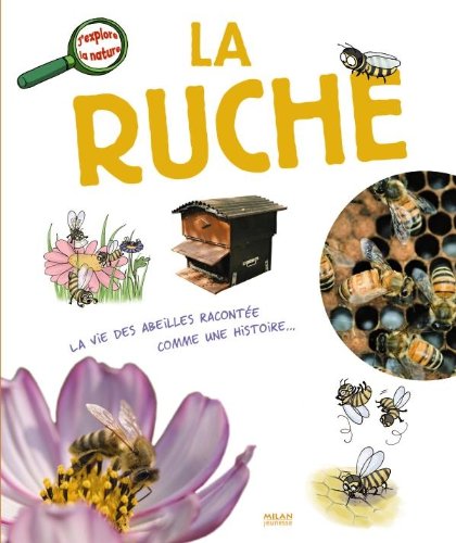 la ruche  