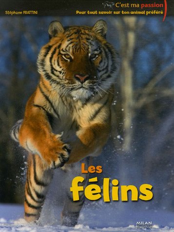 les félins  
