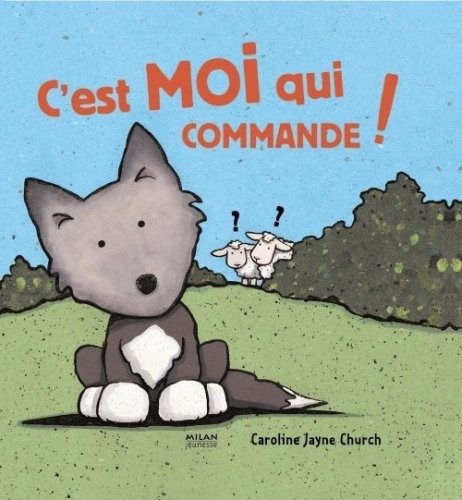 c'est moi qui commande !