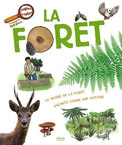 la forêt  