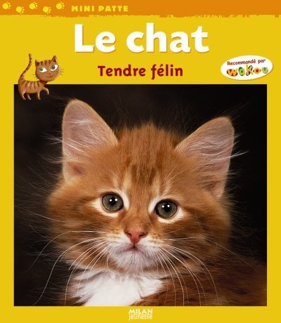 le chat  