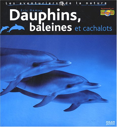 dauphins, baleines et cachalots
