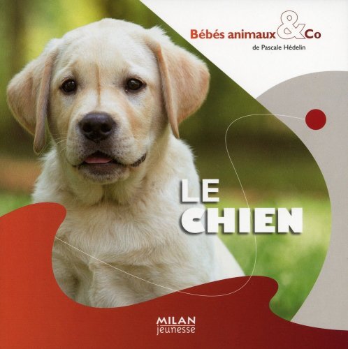 le chien  