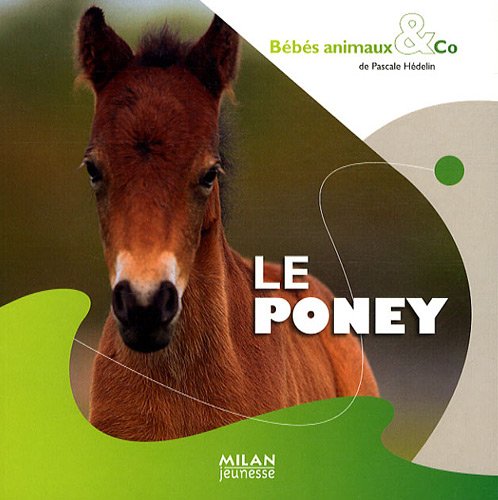 le poney  