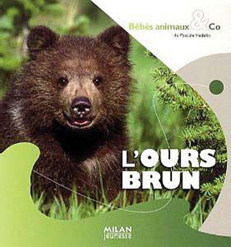 l' ours brun  