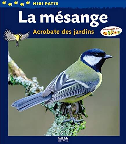 la mésange, acrobate des jardins  