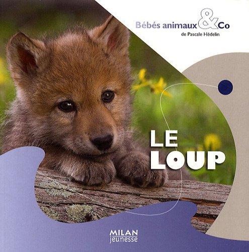 le loup  