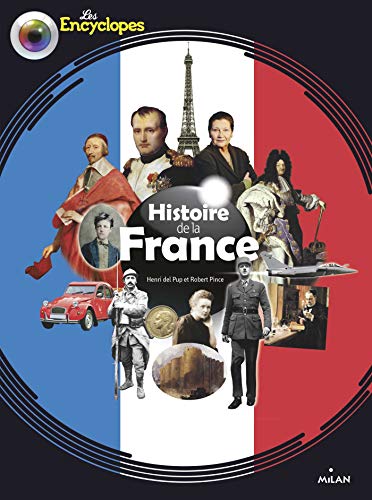 histoire de la france