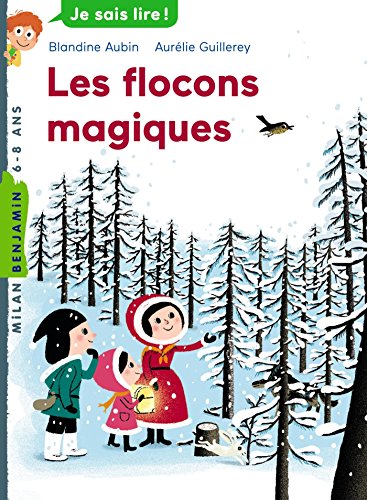 les flocons magiques   [107]