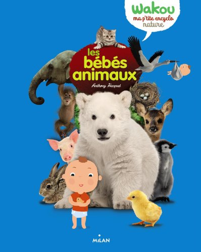 les bébés animaux  