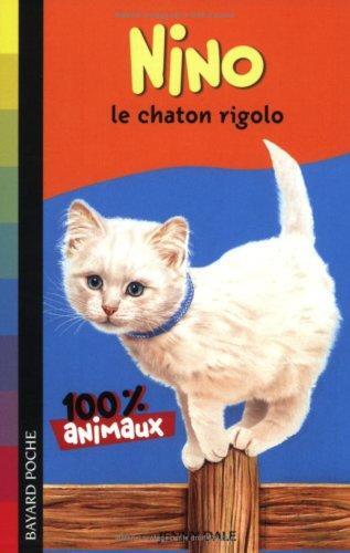 nino, le chaton rigolo
