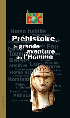 préhistoire, la grande aventure de l'homme