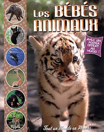 les bébés animaux  