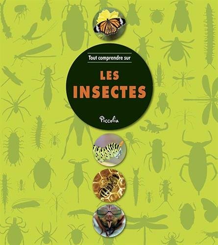 les insectes  