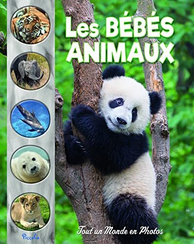 les bébés animaux  