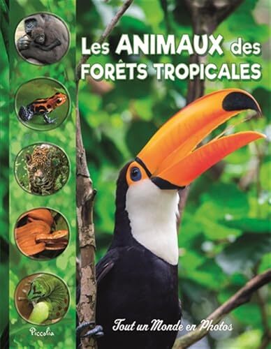 les animaux des forêts tropicales  