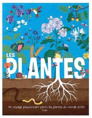 les plantes  