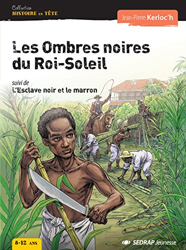 les ombres noires du roi-soleil  