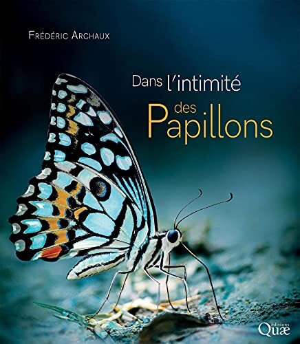 dans l'intimité des papillons