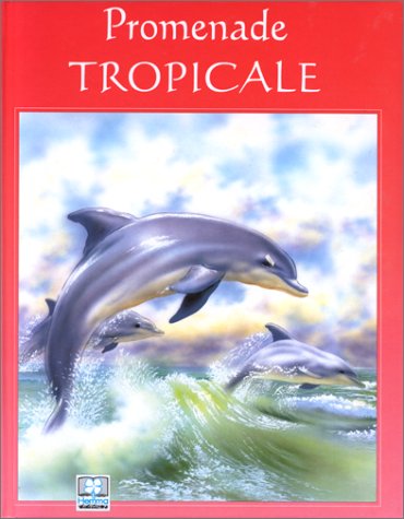 au coeur de la foret