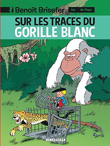 benoit brisefer 