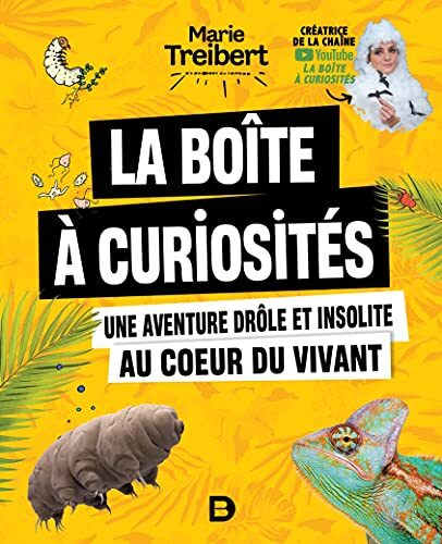 la boîte à curiosités  