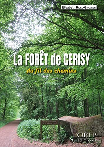 la forêt de cerisy au fil des chemins  