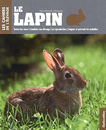 le lapin  