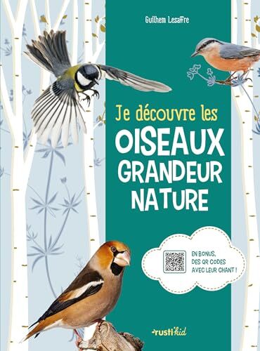 je découvre les oiseaux grandeur nature