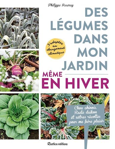 des légumes dans mon jardin, même en hiver  
