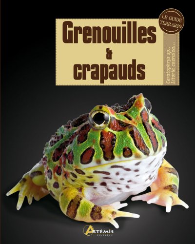 grenouilles & crapauds