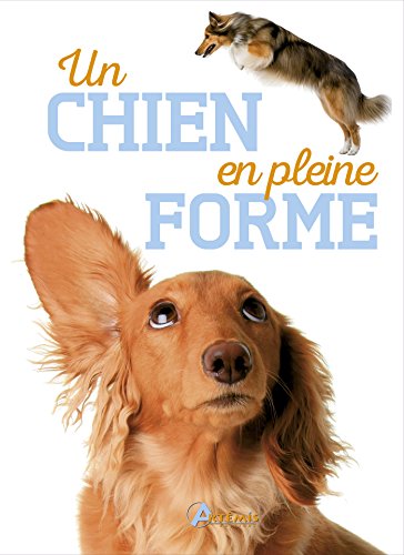 un chien en pleine forme  
