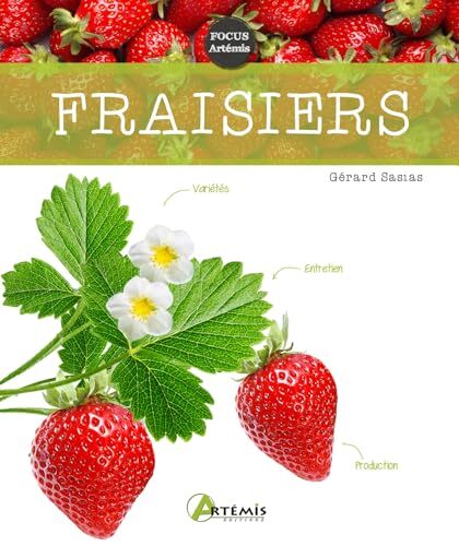 fraisiers