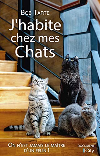 j'habite chez mes chats