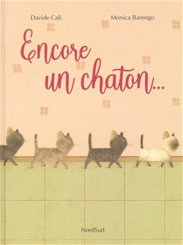 encore un chaton...