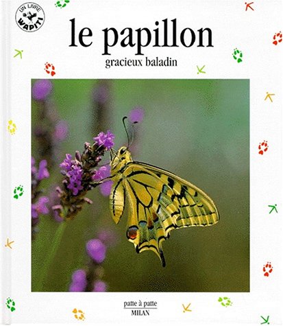 le papillon  