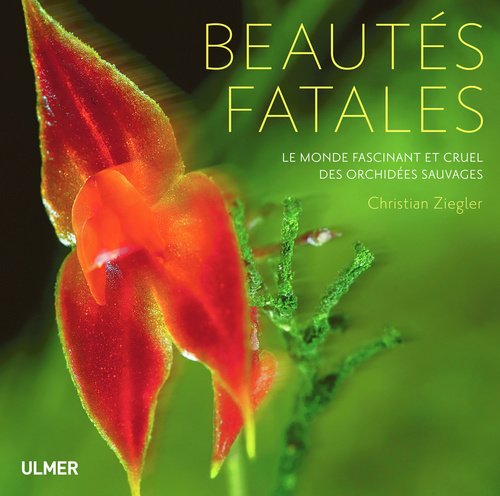 beautés fatales