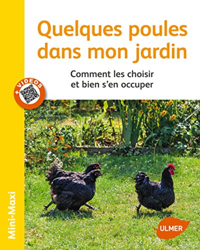 quelques poules dans mon jardin