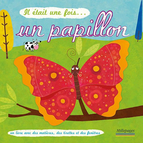 un papillon  