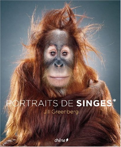 portraits de singes