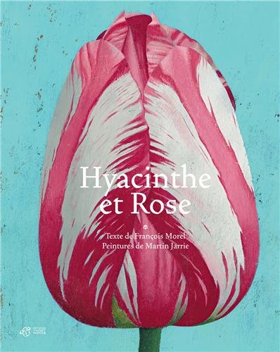 hyacinthe et rose
