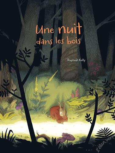 une nuit dans les bois  