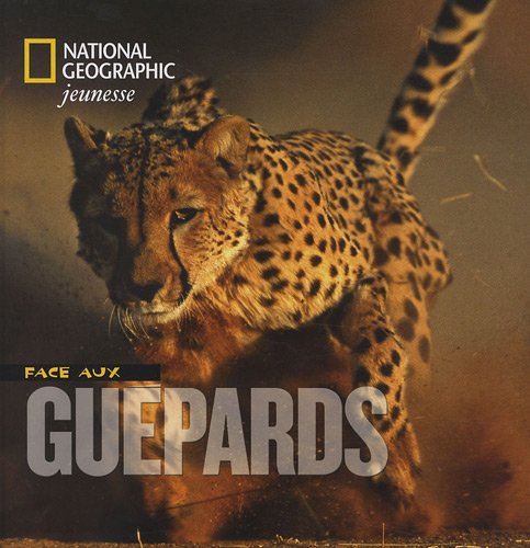 face aux guépards