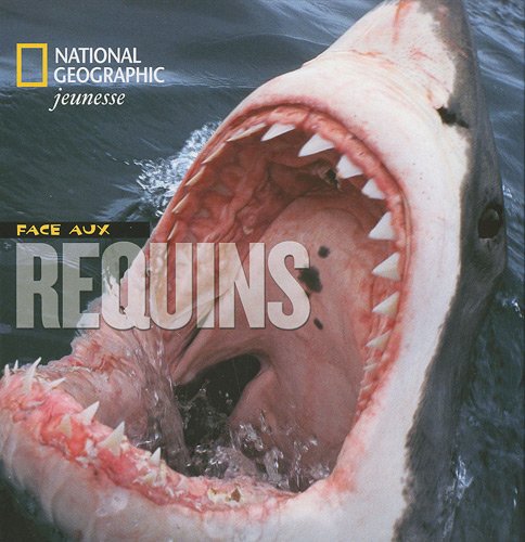 face aux requins