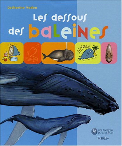 les dessous des baleines   [5]