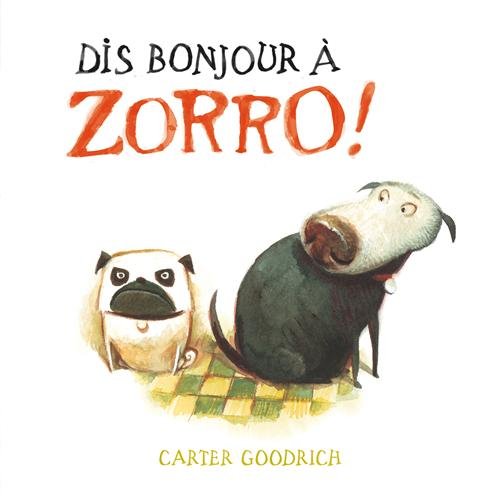 dis bonjour à zorro !