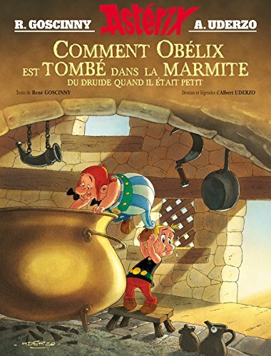 comment obélix est tombé dans la marmite du druide quand il était petit